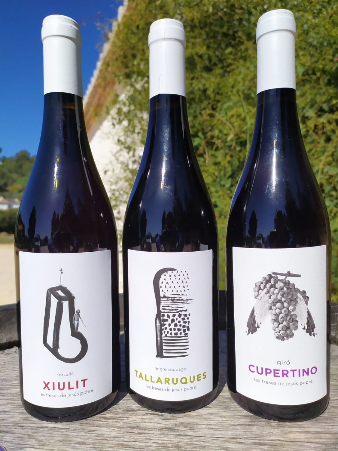 Maxi Pack Red Wines, 6 bottles.